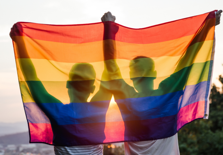 Zwei Männer schauen in die Sonne und stehen mit dem Rücken zur Kamera. Sie halten eine Pride-Flagge hoch, sodass man ihre Gestalt nur schemenhaft als Schatten hinter der Pride-Flagge die sie gemeinsam hochhalten sieht.